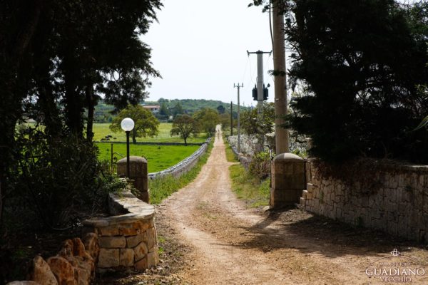 Masseria Guadiano Vecchio - La masseria dall'esterno - www.masseriaguadiano.com - Monopoli (BA) - Puglia - Italy