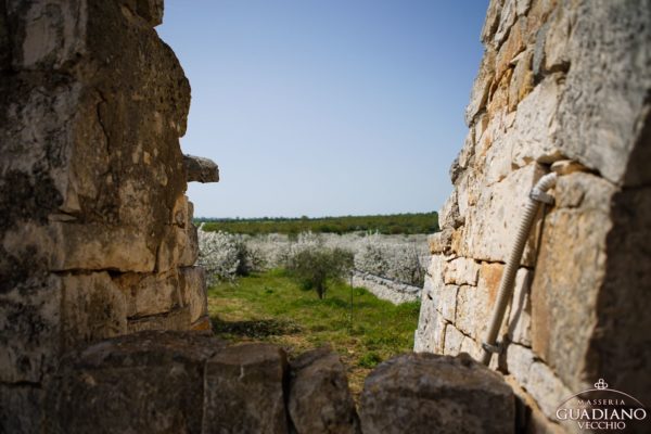 Masseria Guadiano Vecchio - La masseria dall'esterno - www.masseriaguadiano.com - Monopoli (BA) - Puglia - Italy