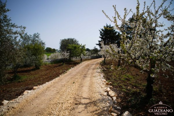 Masseria Guadiano Vecchio - La masseria dall'esterno - www.masseriaguadiano.com - Monopoli (BA) - Puglia - Italy