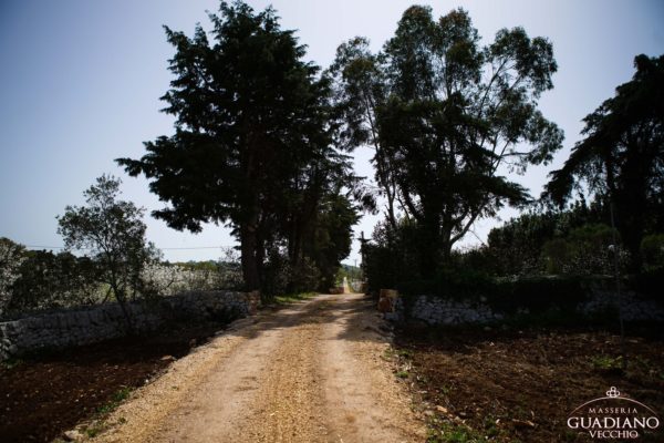 Masseria Guadiano Vecchio - La masseria dall'esterno - www.masseriaguadiano.com - Monopoli (BA) - Puglia - Italy