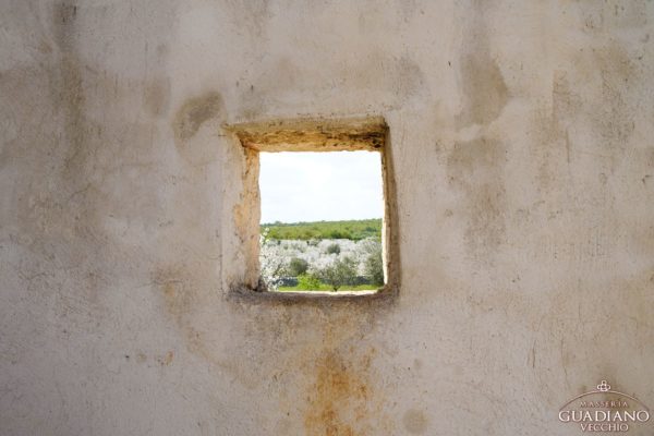 Masseria Guadiano Vecchio - Casa Forlì - www.masseriaguadiano.com - Monopoli (BA) - Puglia - Italy